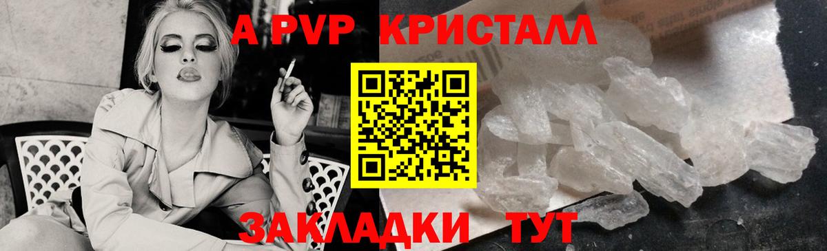 A-PVP  Вход с VPN  APVP крисы CK  дарнет шоп  Alpha PVP СК КРИС  Тельмана 