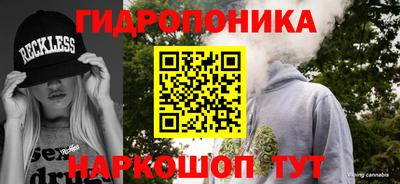 apvp Дубна