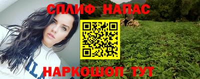 мдпв Донской