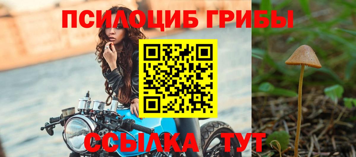 Псилоцибиновые грибы Magic Shrooms  Вход с VPN  Псилоцибиновые грибы прущие грибы  купить закладку  Тельмана 